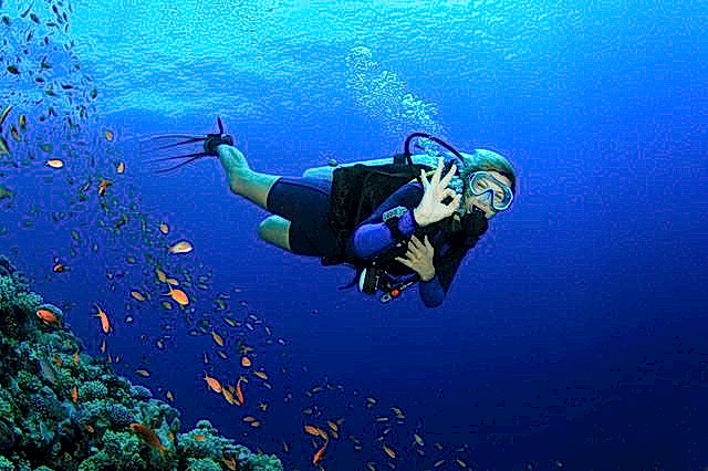 fethiye dalış